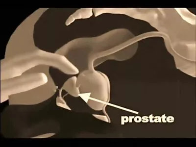 ಹಾಟ್ ಚಿಕ್ ಅವಳ ಚೇಕಡಿ ಹಕ್ಕಿಯನ್ನು ಅಲ್ಲಾಡಿಸುತ್ತದೆ